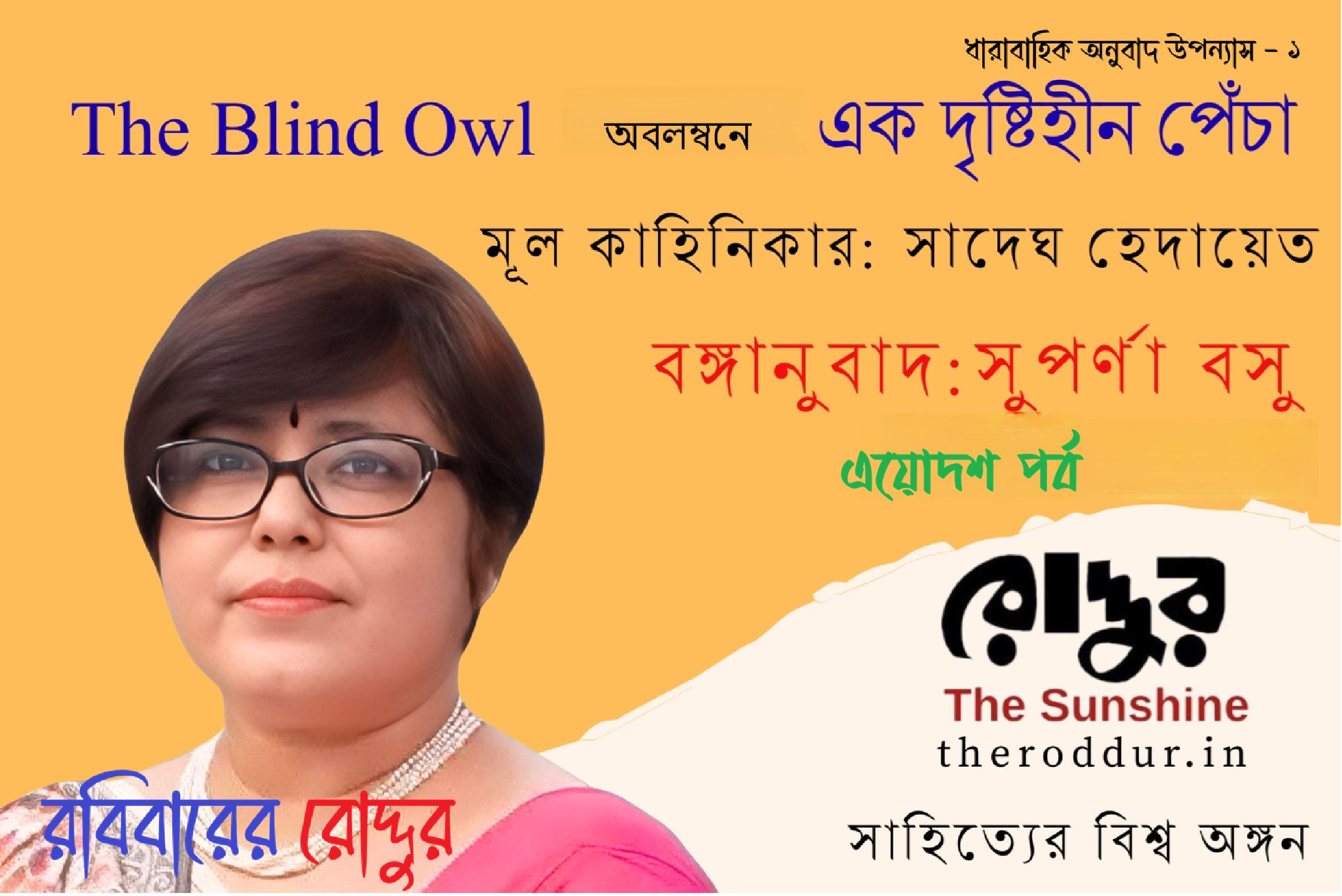 ১৩ : এক দৃষ্টিহীন পেঁচা