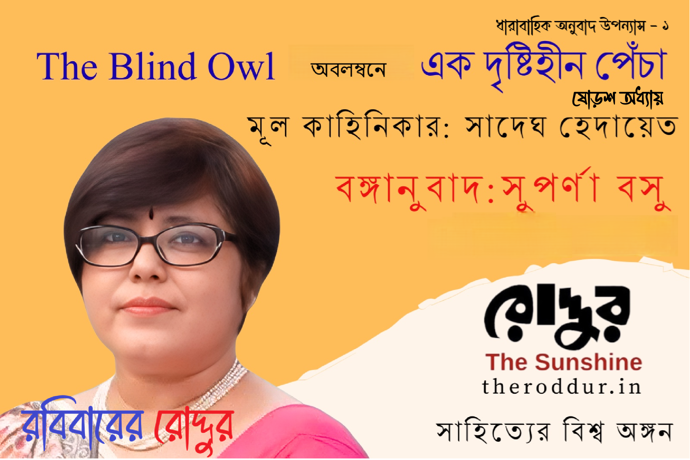 ১৬ : এক দৃষ্টিহীন পেঁচা